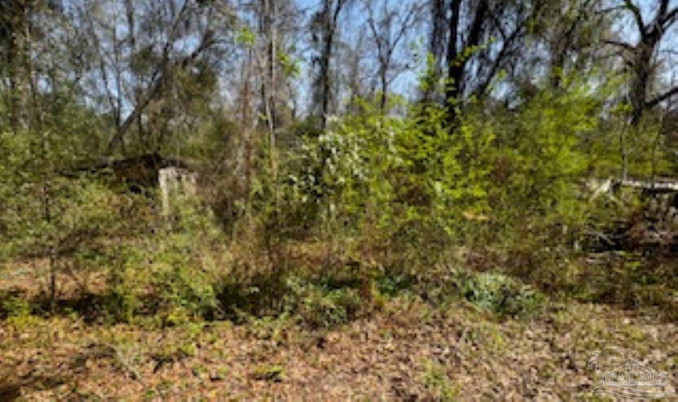 1329 Beaver Dam Road Bonifay, FL 32425 - Photo 4 of 8