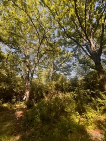 $200,000 | 1329 Beaver Dam Road, Bonifay, FL 32425