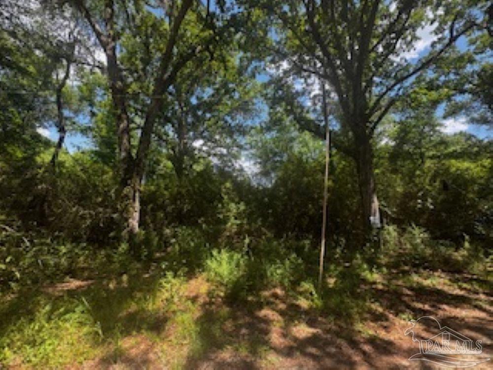 1329 Beaver Dam Road Bonifay, FL 32425 - Photo 7 of 8