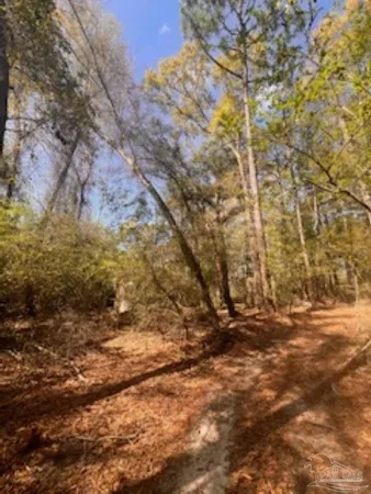 $200,000 | 1329 Beaver Dam Road, Bonifay, FL 32425