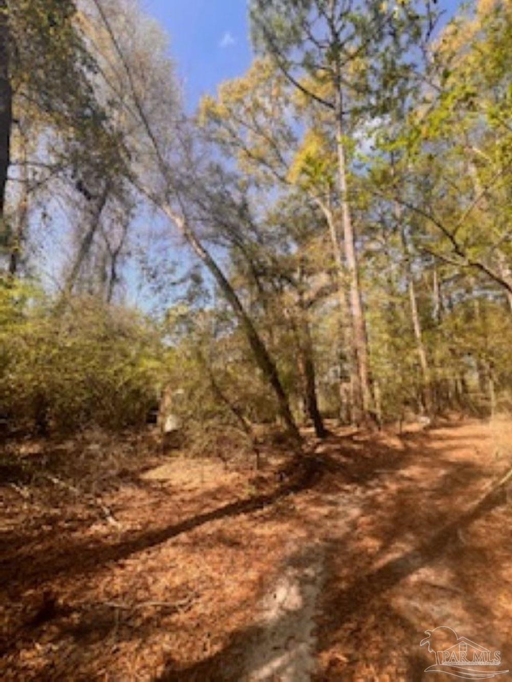 1329 Beaver Dam Road Bonifay, FL 32425 - Photo 8 of 8