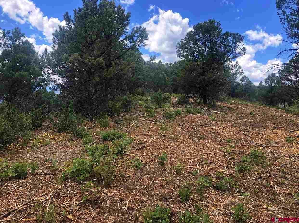 Tbd Lot 3 Tbd Way Ridgway, CO 81432 - Photo 3 of 12 a big yard with lots of green space