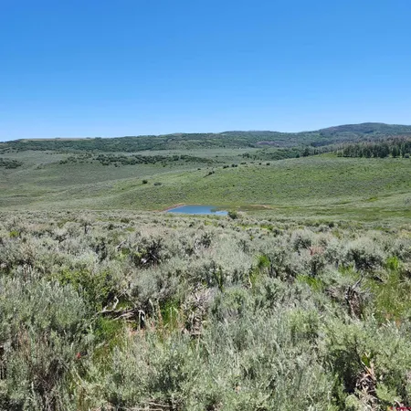 a view of a lake with a yard