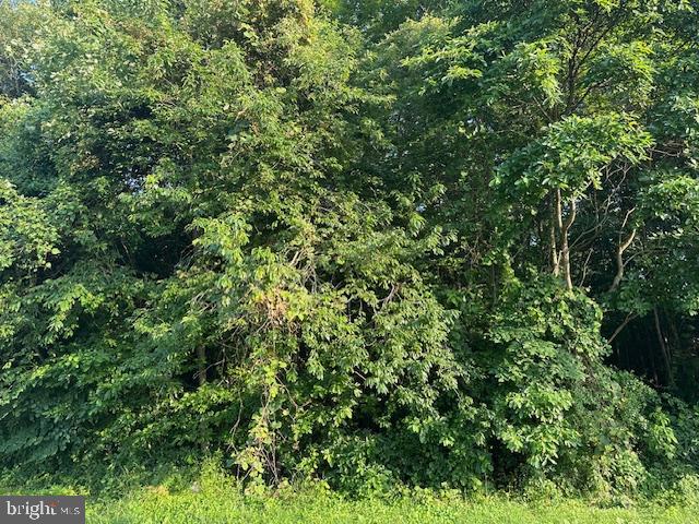 0 McCormick Swamp Road Princess Anne, MD 21853 - Photo 1 of 1