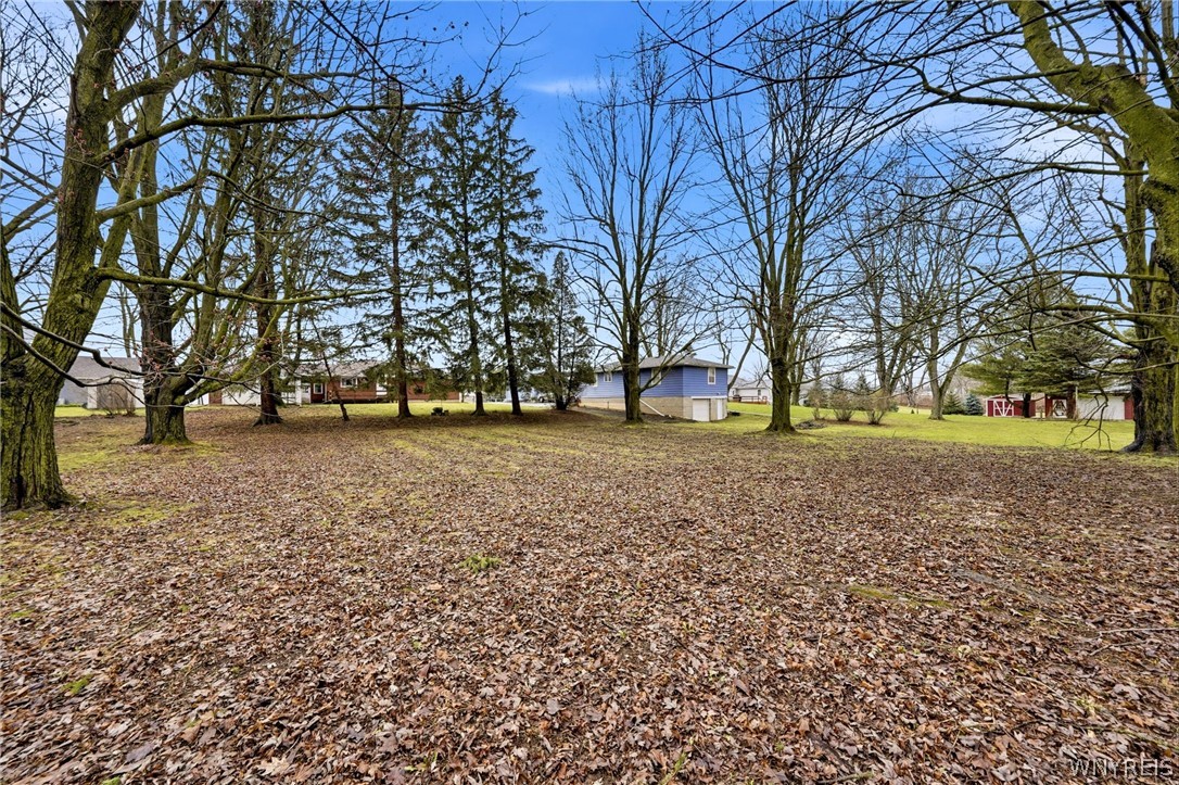 11168 Main Street Clarence, NY 14031 - Photo 41 of 50 Wooded Lot!