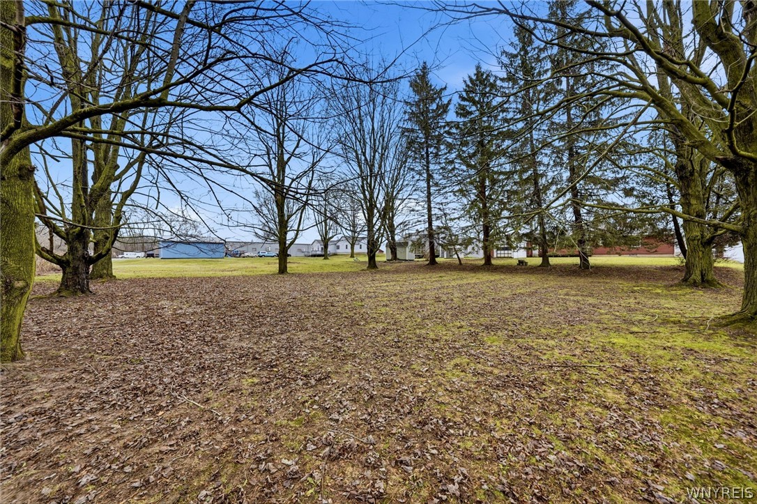 11168 Main Street Clarence, NY 14031 - Photo 42 of 50 Lots of Space