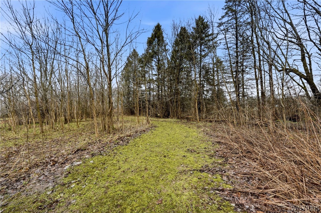 11168 Main Street Clarence, NY 14031 - Photo 45 of 50 Backyard Trail