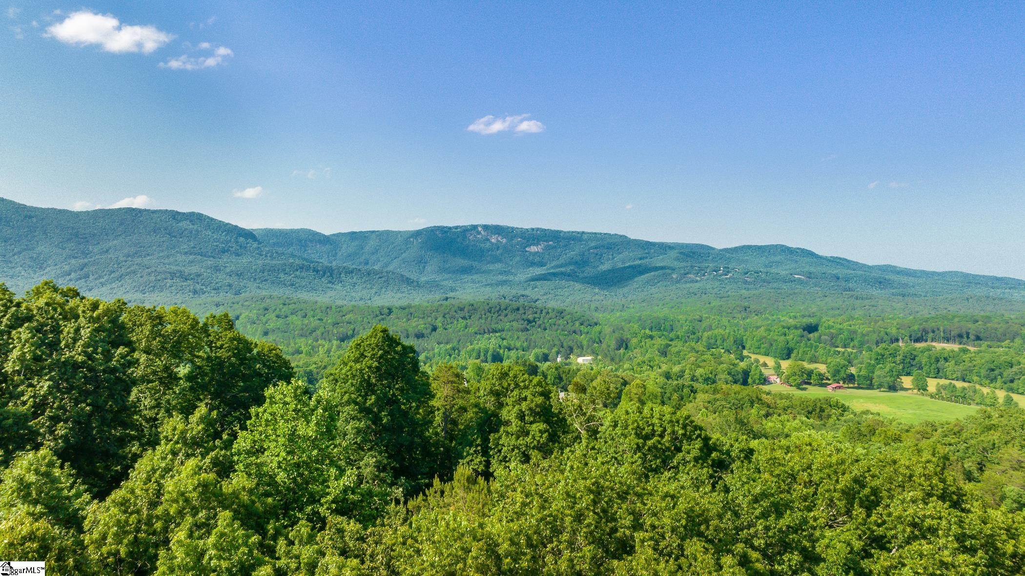 122 Cold Mountain Cleveland, SC 29635 - Photo 4 of 32