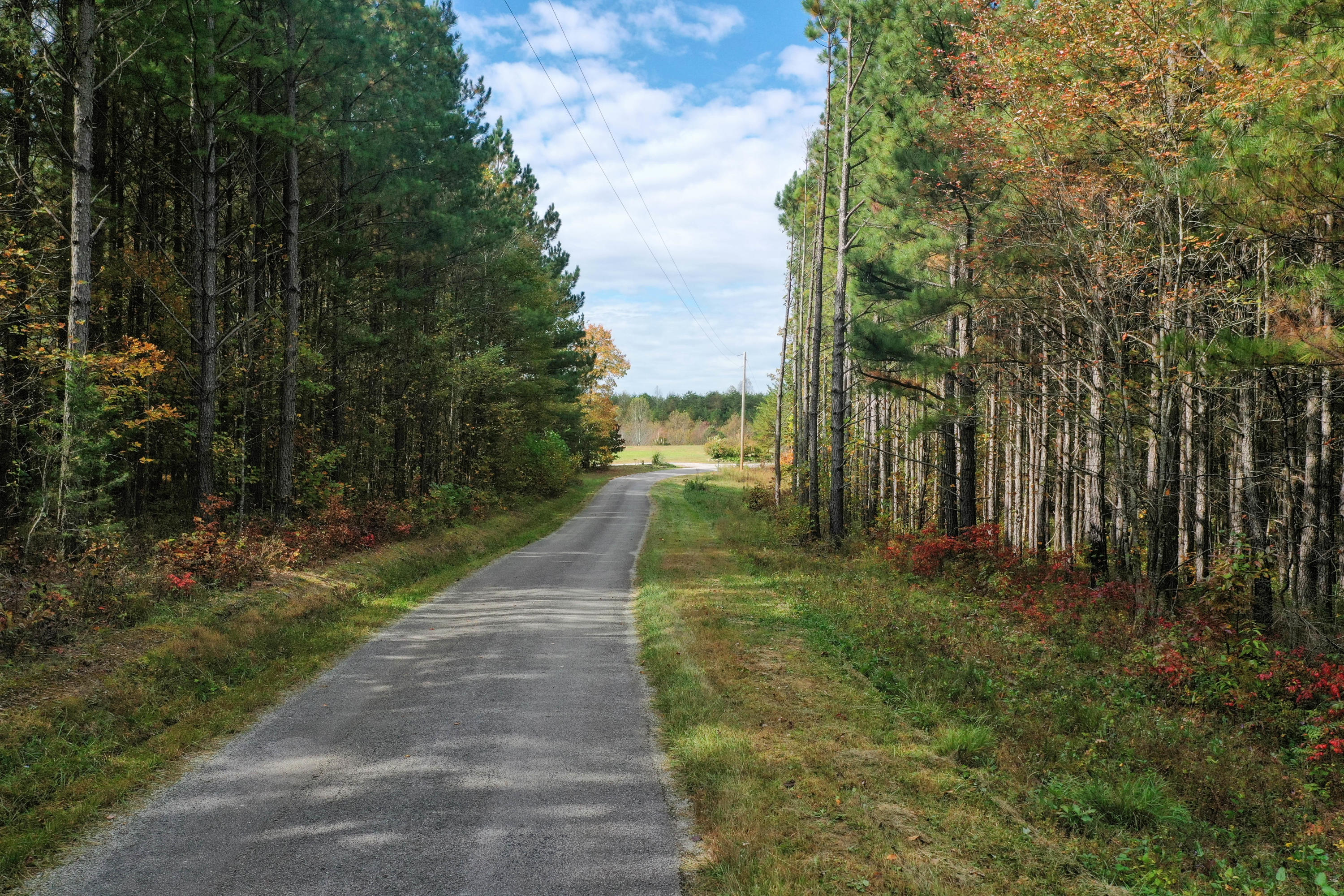 Claude Howard Road Deer Lodge, TN 37726 - Photo 1 of 13 DJI_0921