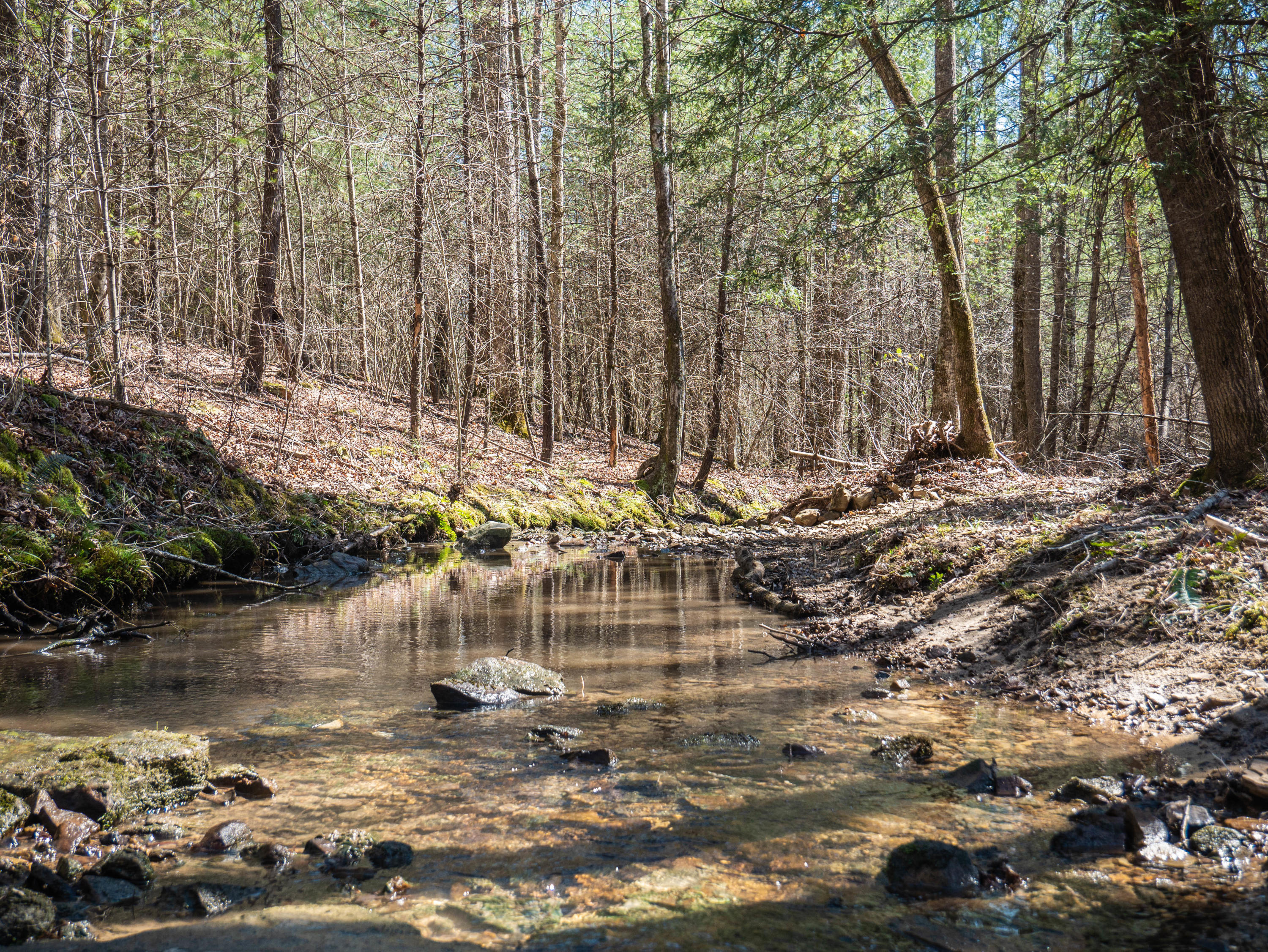 Claude Howard Road Deer Lodge, TN 37726 - Photo 11 of 13 P1060112