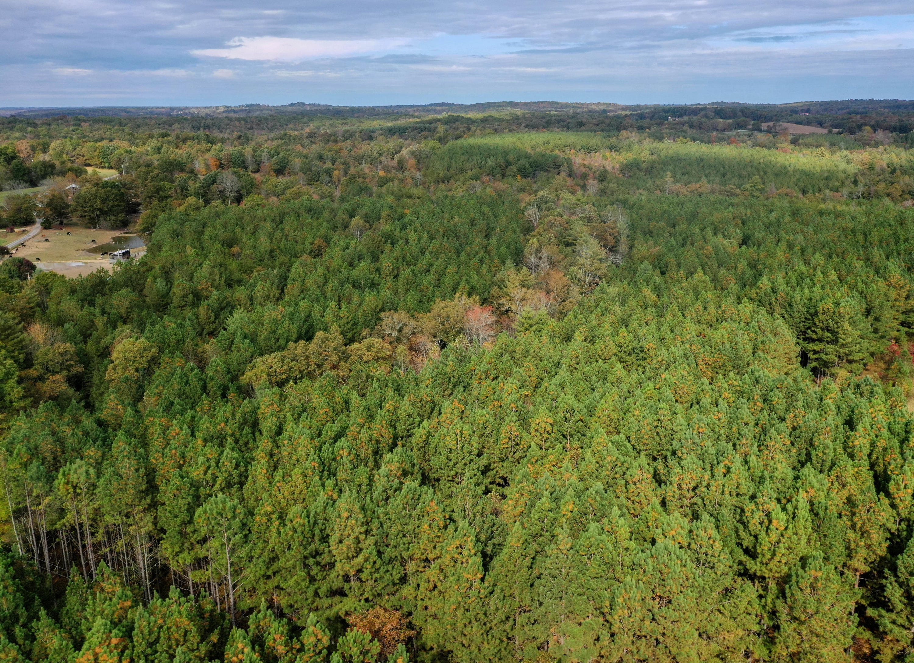 Claude Howard Road Deer Lodge, TN 37726 - Photo 5 of 13 DJI_0926