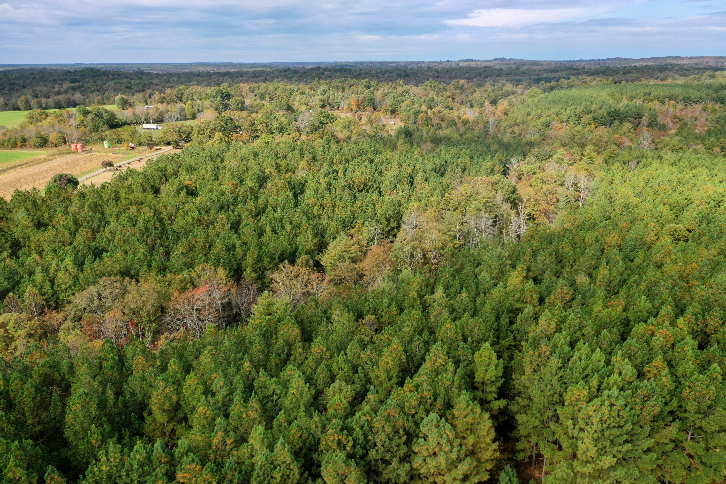 Claude Howard Road Deer Lodge, TN 37726 - Photo 6 of 13 DJI_0927