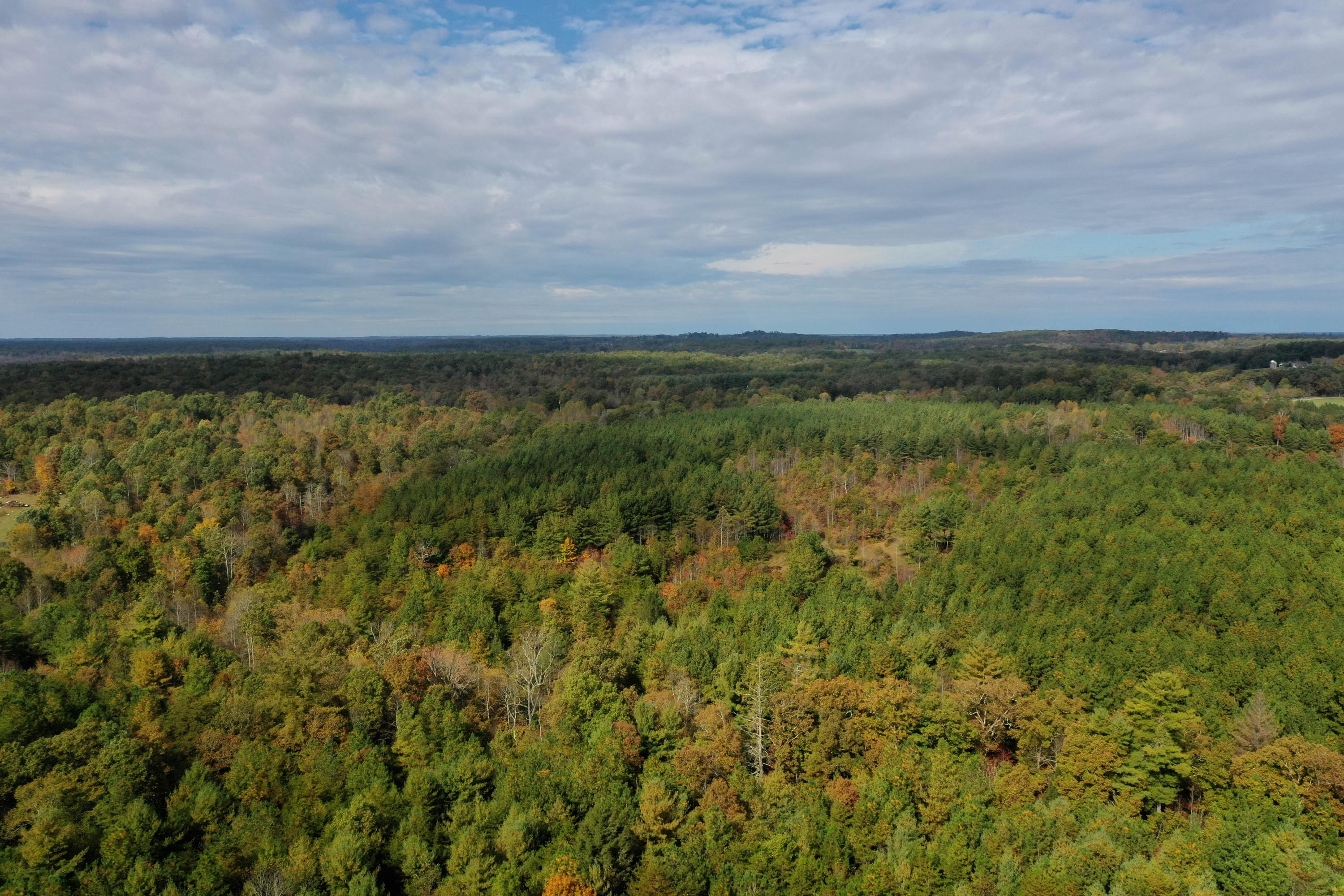 Claude Howard Road Deer Lodge, TN 37726 - Photo 7 of 13 DJI_0931