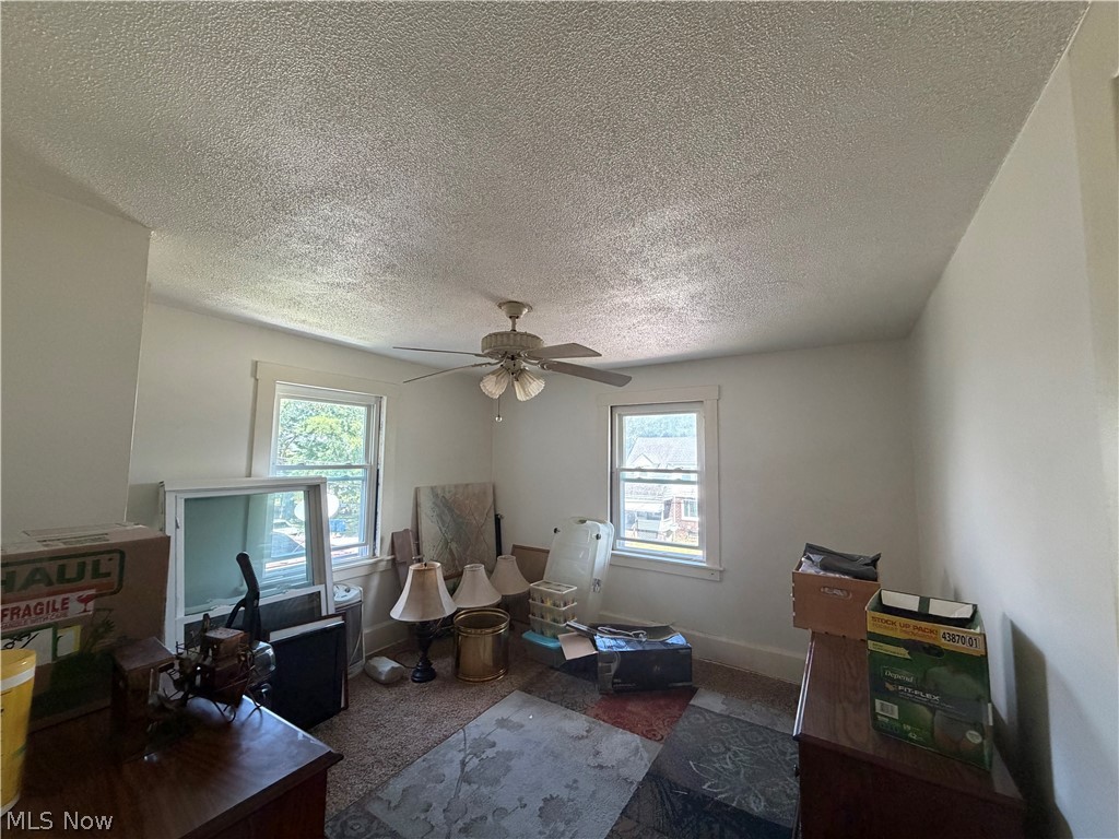 447 Garfield Street Struthers, OH 44471 - Photo 4 of 6 Gallery Image 4