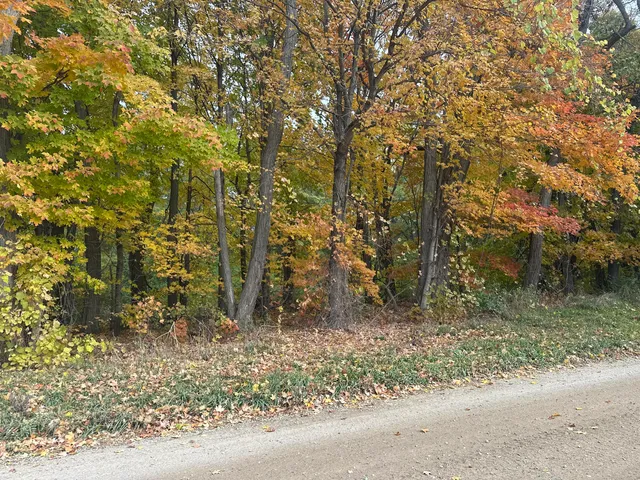 $89,900 | 12831 Strotheide Road Northeast, Belding, MI 48809