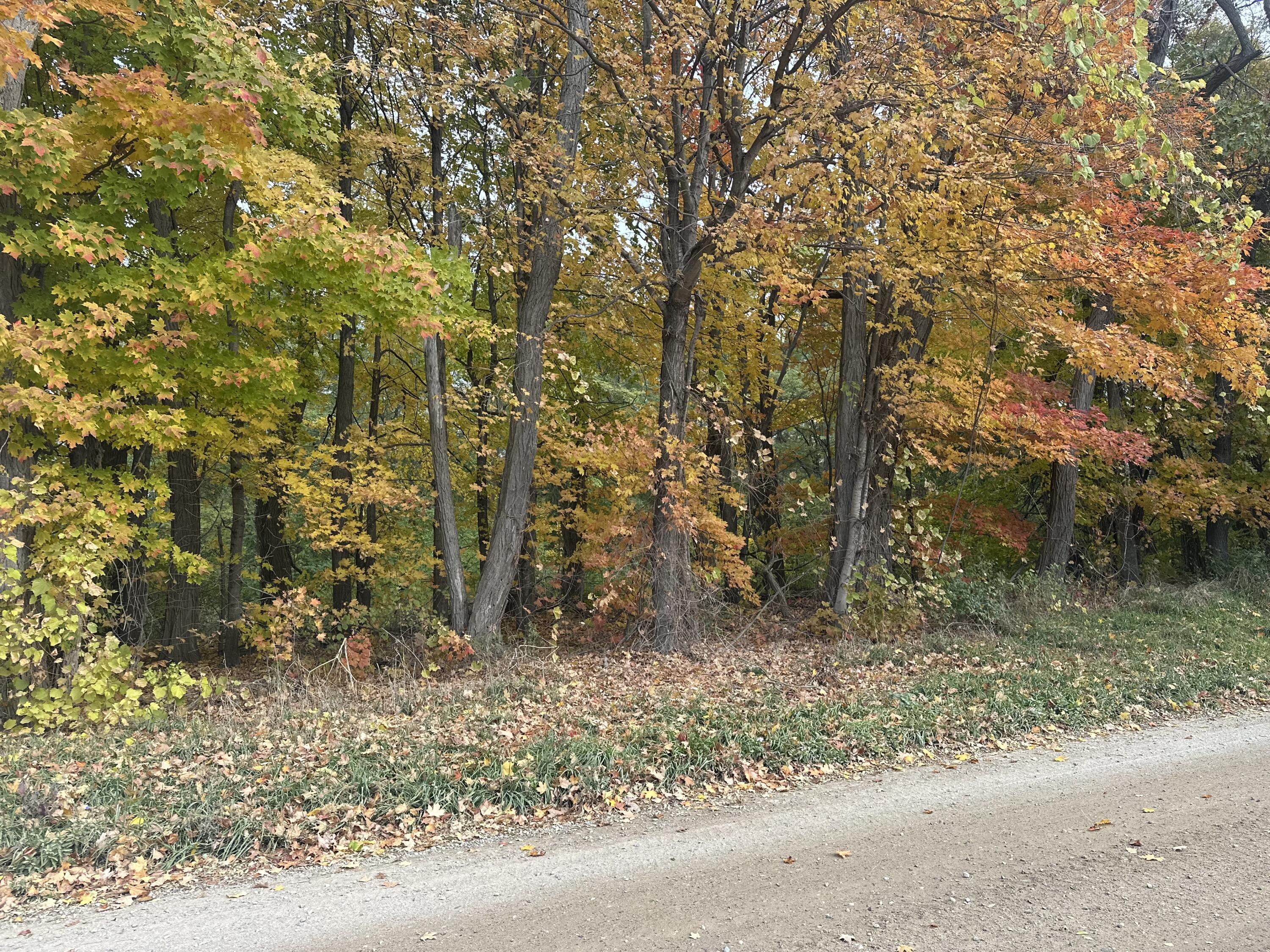 12831 Strotheide Road Northeast Belding, MI 48809 - Photo 2 of 3 IMG_1693