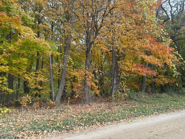 $89,900 | 12831 Strotheide Road Northeast, Belding, MI 48809