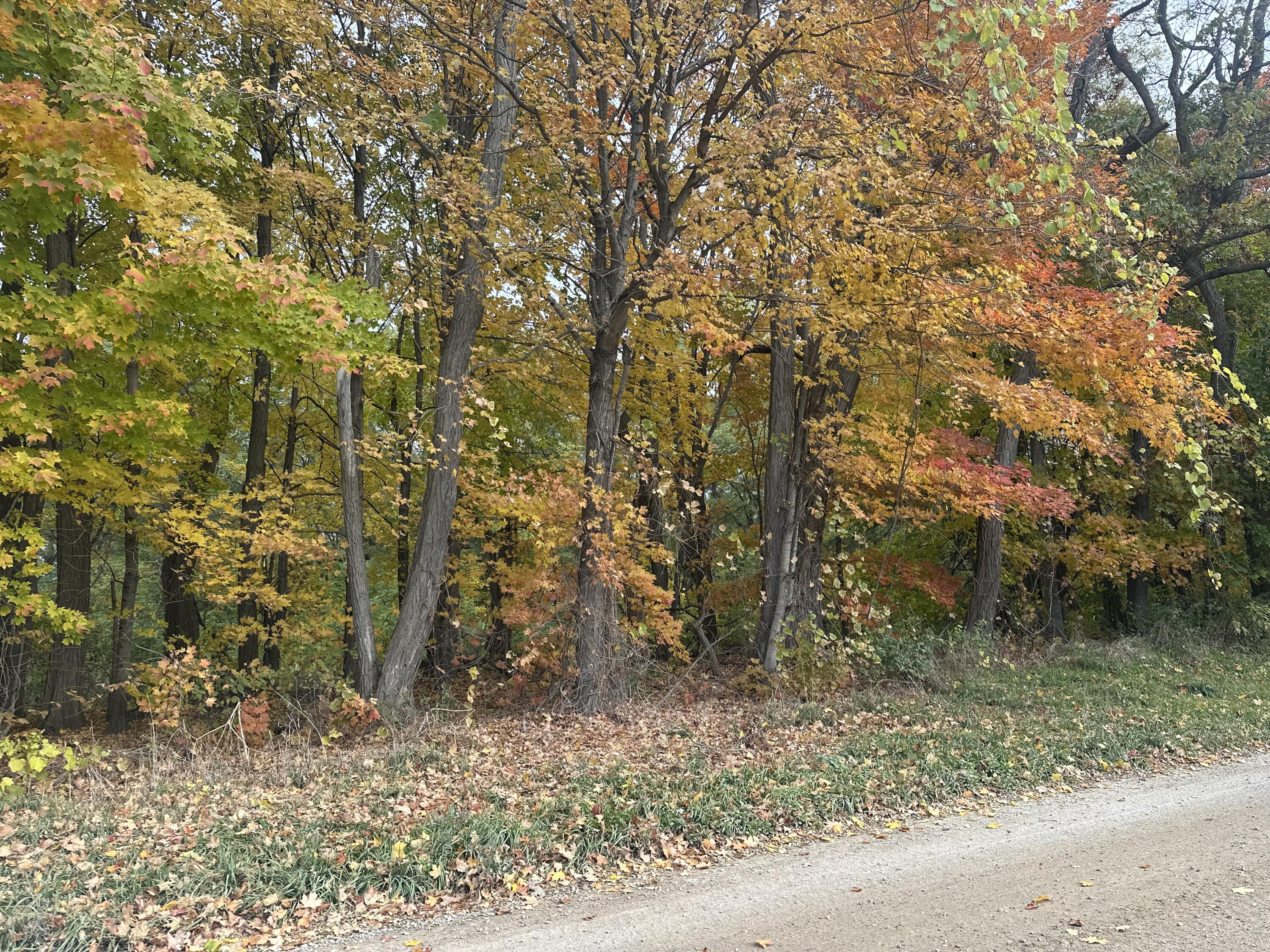 12831 Strotheide Road Northeast Belding, MI 48809 - Photo 3 of 3 IMG_1694