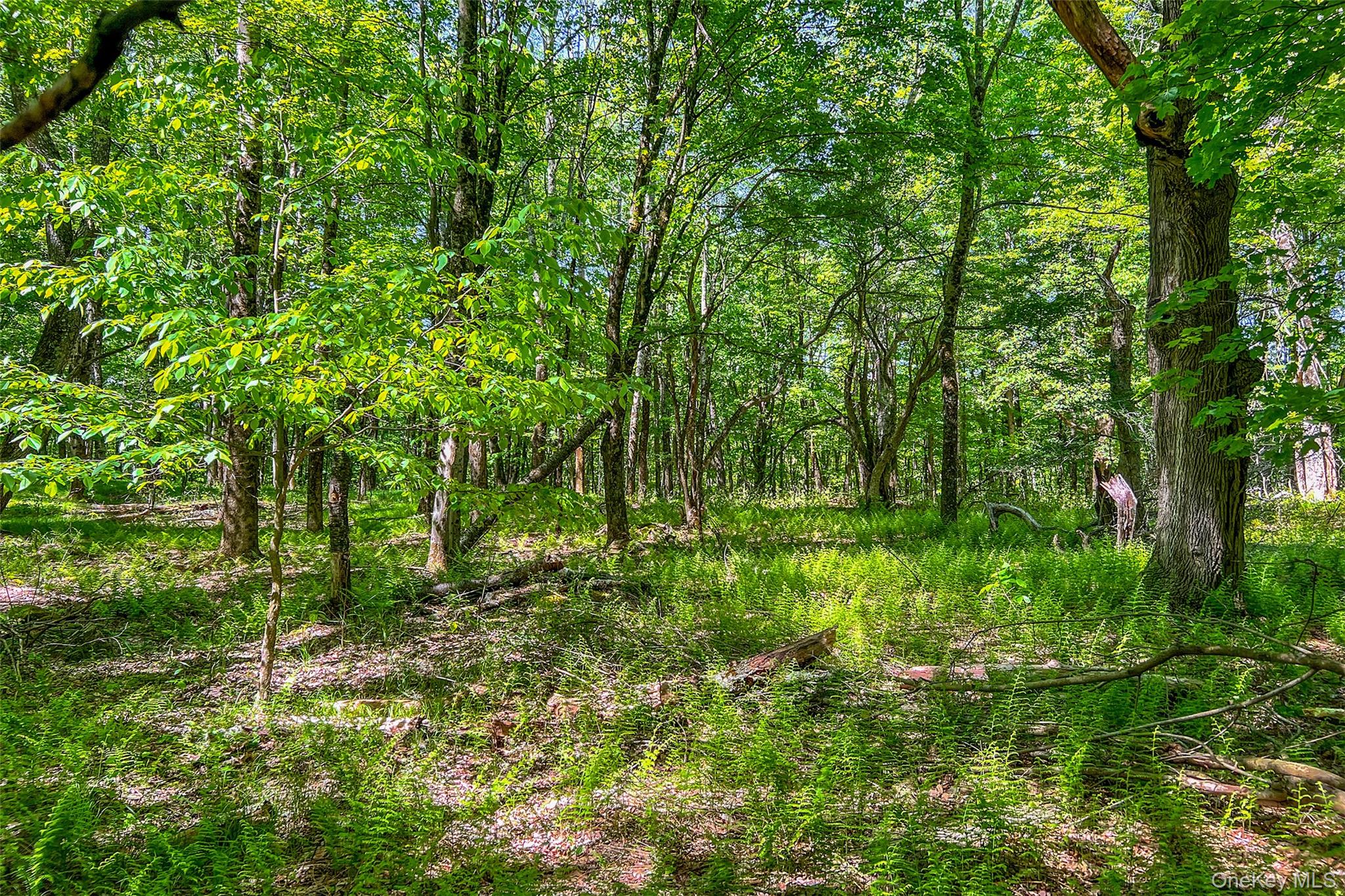 26 Federal Hill 2 Road Delhi, NY 13753 - Photo 22 of 50