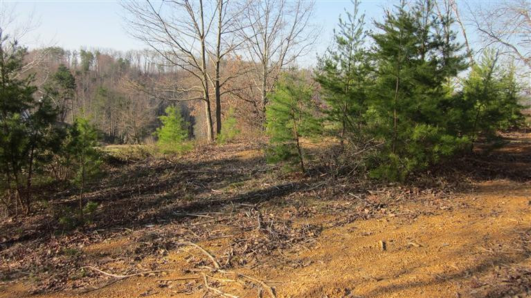 0 East Sallys Branch Road London, KY 40741 - Photo 1 of 4 Photo 1