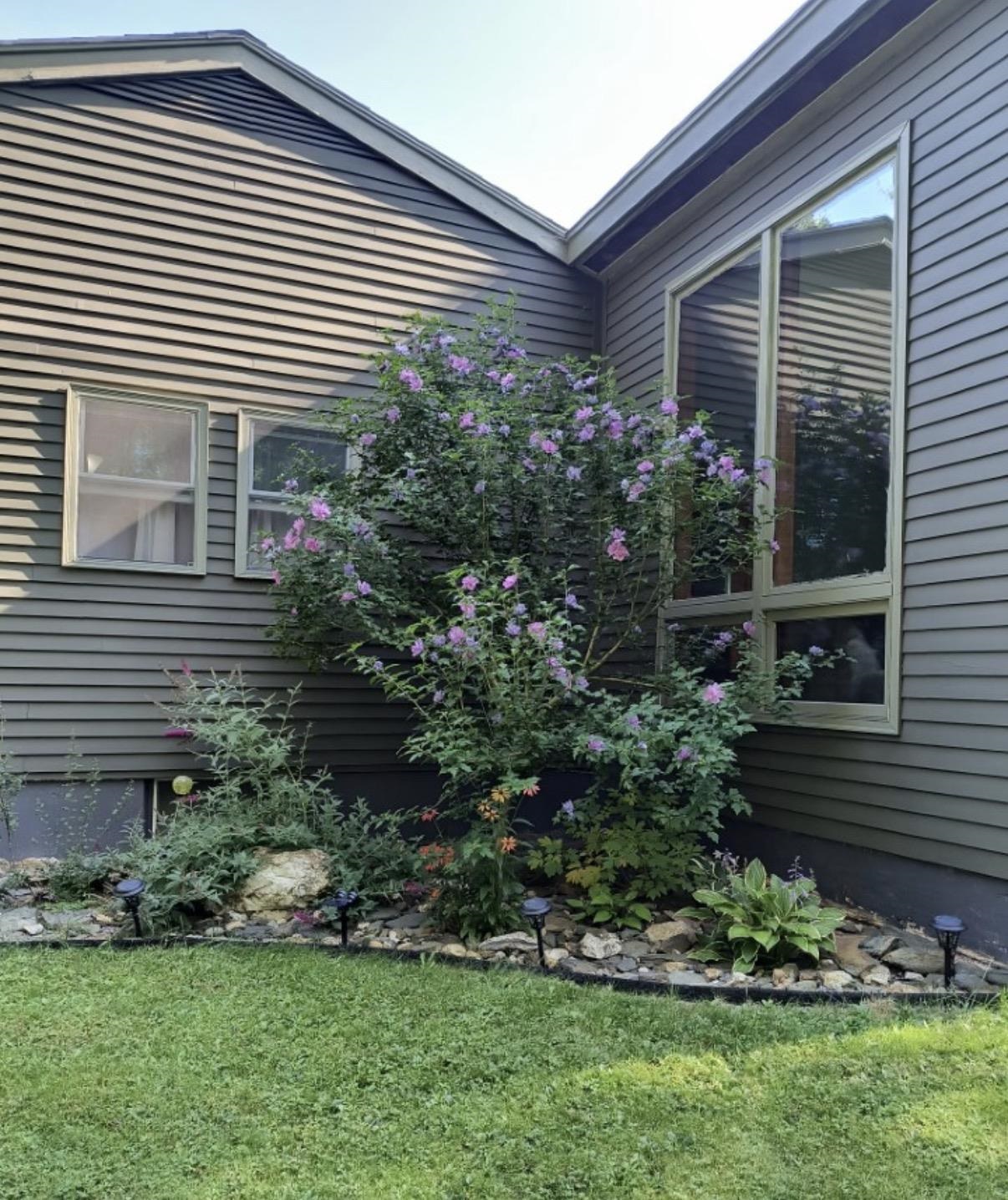 64 Miller Rd Extension Barre Town, VT 05641 - Photo 48 of 55