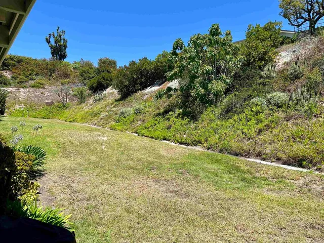 a view of a yard with a tree