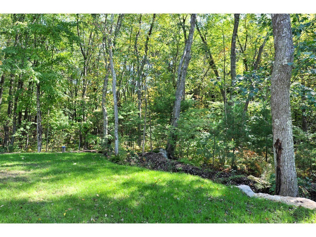 117 Dudley Road, Unit 117 Berlin, MA 01503 - Photo 20 of 21 a view of a yard with a tree