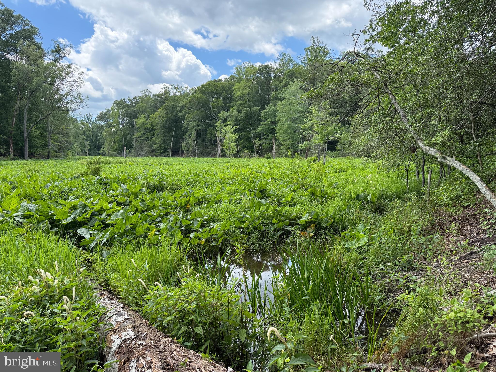 16280 Ridge Road King George, VA 22485 - Photo 2 of 24 Gorgeous views over pond & creek