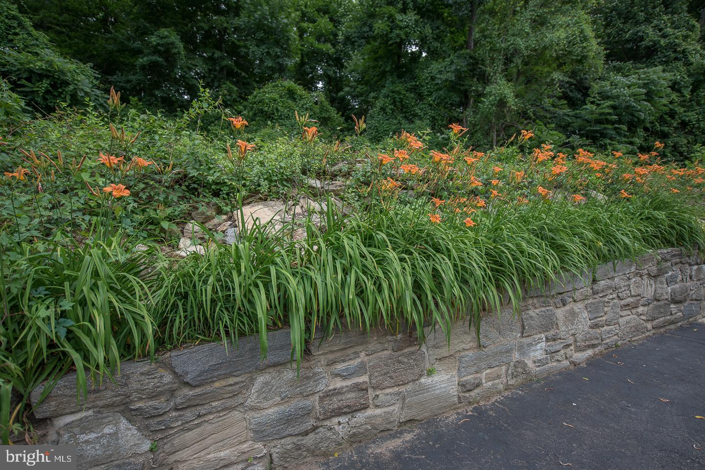 1665 Susquehanna Road Jenkintown, PA 19046 - Photo 49 of 49 Gallery Image 49