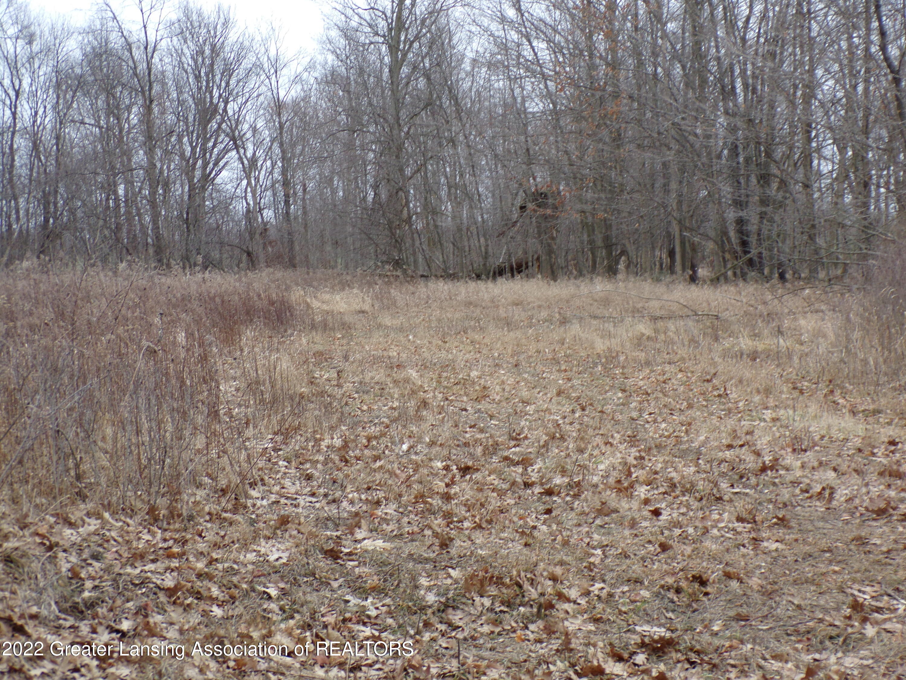 0 Curtis Road Bellevue, MI 49021 - Photo 3 of 33 100_0024