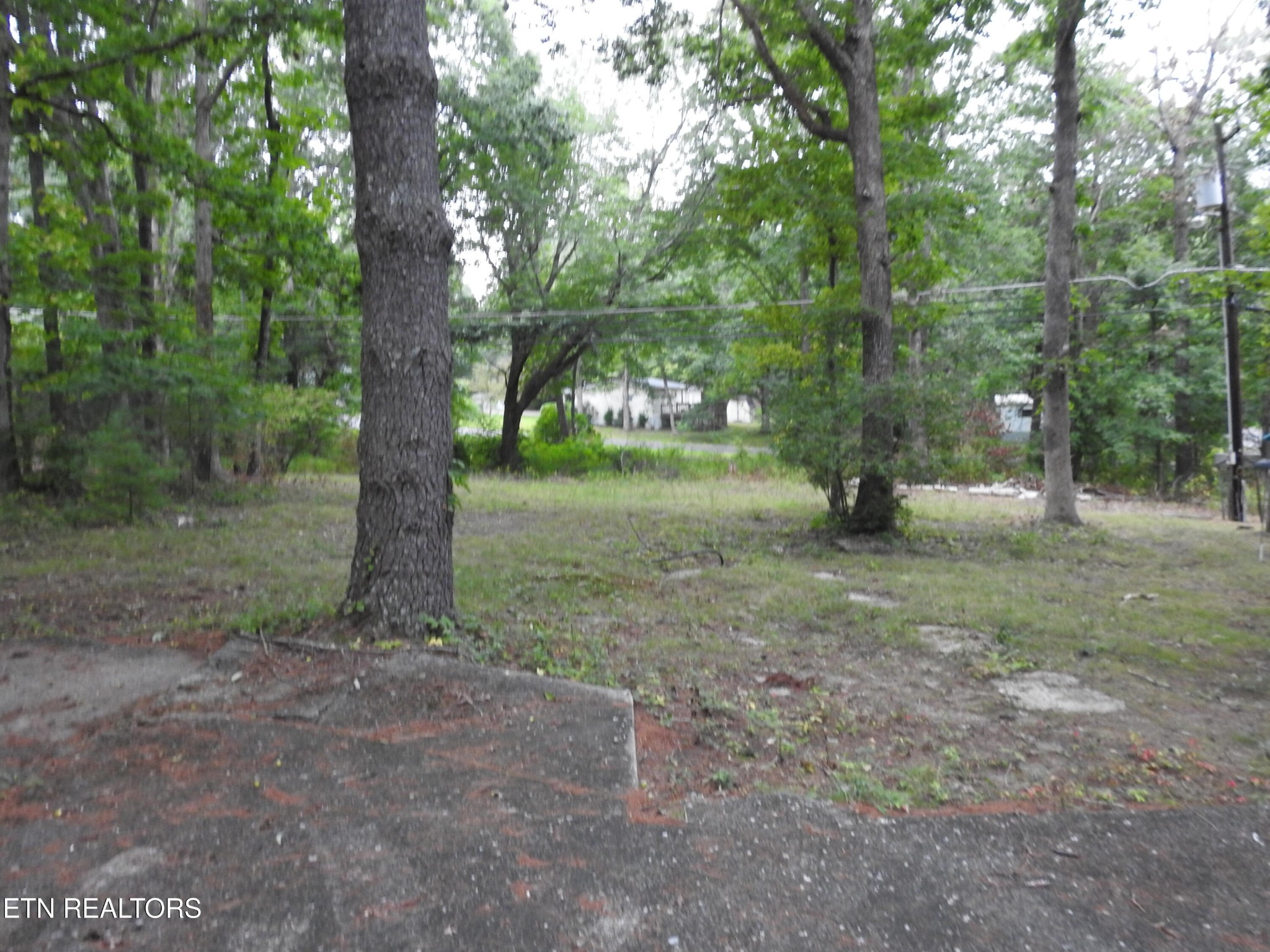 244 Rugby Road Crossville, TN 38558 - Photo 7 of 42 Gallery Image 7