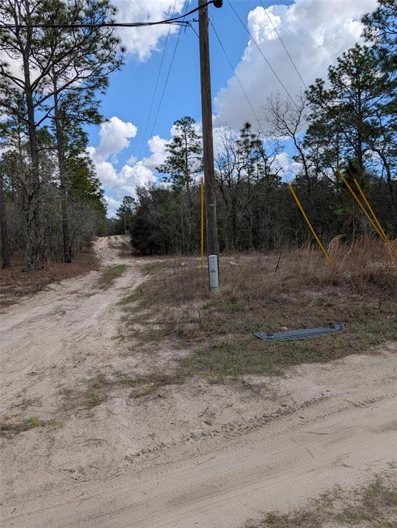 0 Southwest 90th Street Dunnellon, FL 34432 - Photo 7 of 8