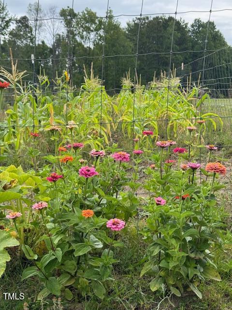 0 Beasley Road Benson, NC 27504 - Photo 16 of 40 a view of a lake with a house