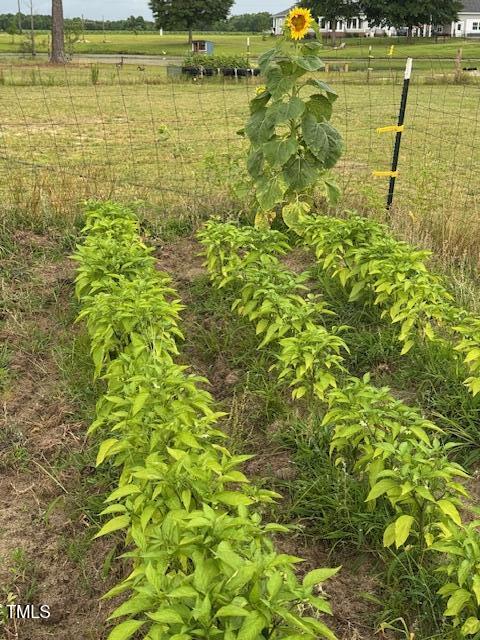 0 Beasley Road Benson, NC 27504 - Photo 19 of 40 a view of a swimming pool of water with an outdoor space