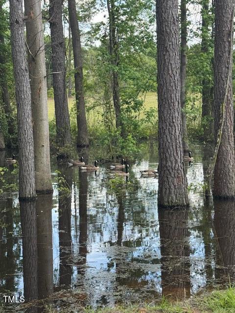 0 Beasley Road Benson, NC 27504 - Photo 23 of 40 a view of a yard with fountain in front of a tree