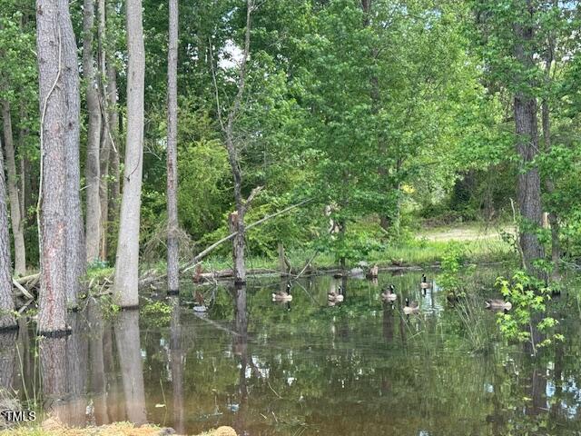 0 Beasley Road Benson, NC 27504 - Photo 24 of 40 a close up of a plant in a garden