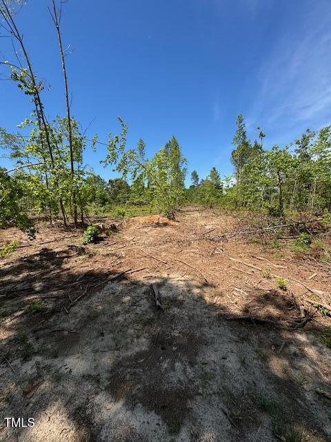 0 Beasley Road Benson, NC 27504 - Photo 31 of 40 a view of a road with an ocean view