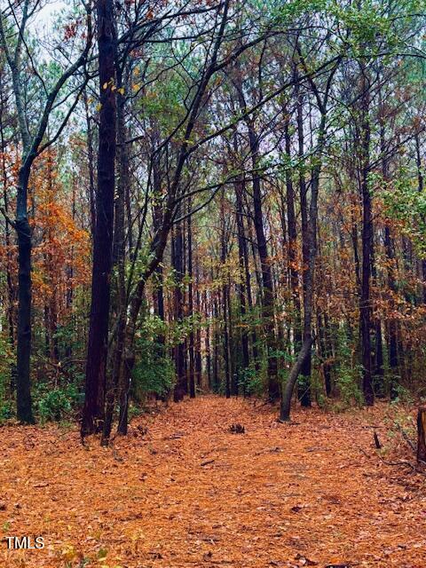 0 Beasley Road Benson, NC 27504 - Photo 32 of 40 a backyard of a house with lots of green space