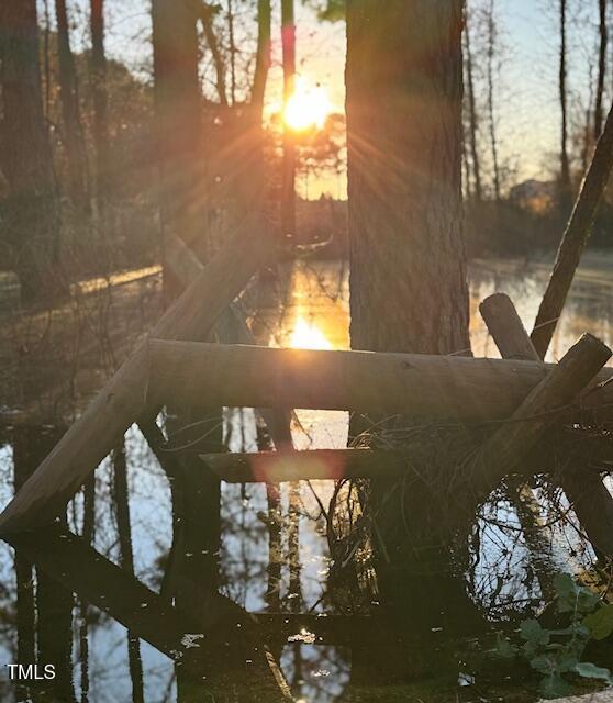 0 Beasley Road Benson, NC 27504 - Photo 33 of 40 a close view of lake view
