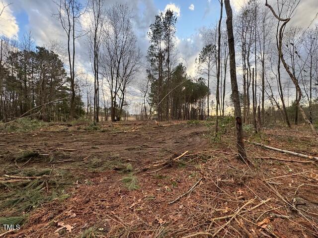 0 Beasley Road Benson, NC 27504 - Photo 34 of 40 a view of dirt field with trees