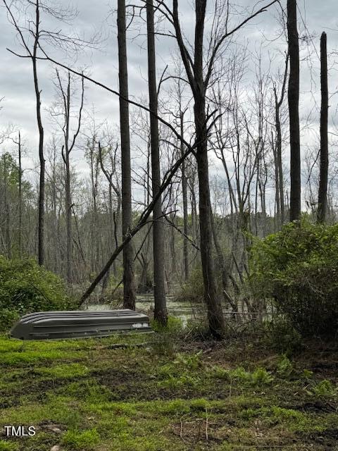 0 Beasley Road Benson, NC 27504 - Photo 35 of 40 a view of swimming pool with a yard