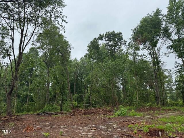 0 Beasley Road Benson, NC 27504 - Photo 36 of 40 a view of a forest