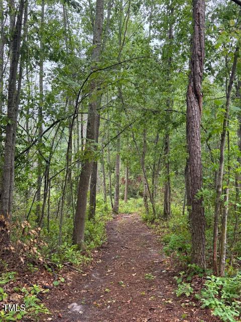 0 Beasley Road Benson, NC 27504 - Photo 37 of 40 a backyard of a house with lots of green space