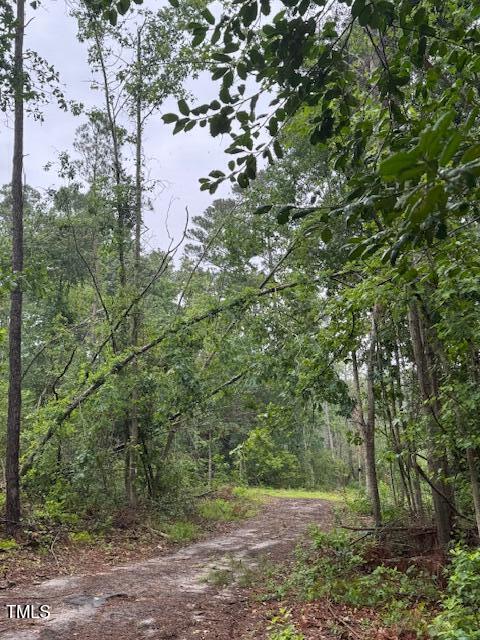 0 Beasley Road Benson, NC 27504 - Photo 38 of 40 a big yard with lots of green space