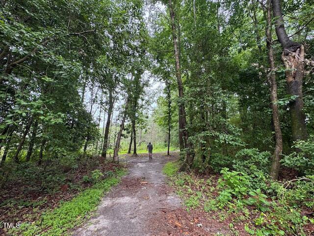 0 Beasley Road Benson, NC 27504 - Photo 39 of 40 a view of outdoor space and trees