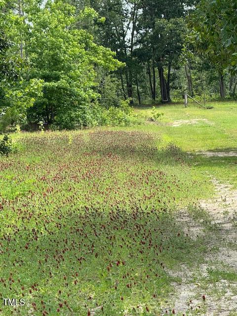 0 Beasley Road Benson, NC 27504 - Photo 40 of 40 a view of a yard with a trees