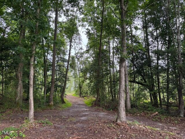 0 Beasley Road Benson, NC 27504 - Photo 5 of 40 a view of a forest