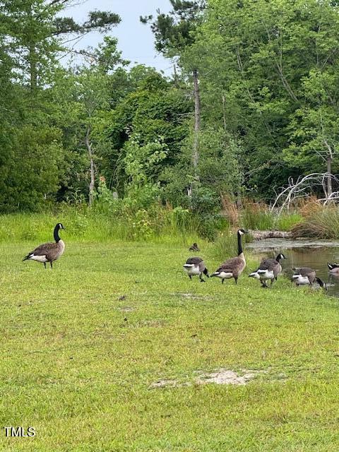 0 Beasley Road Benson, NC 27504 - Photo 6 of 40 a view of a park with large trees