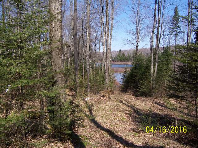 3205 Donut Lake Road Crandon, WI 54520 - Photo 8 of 19 Gallery Image 8