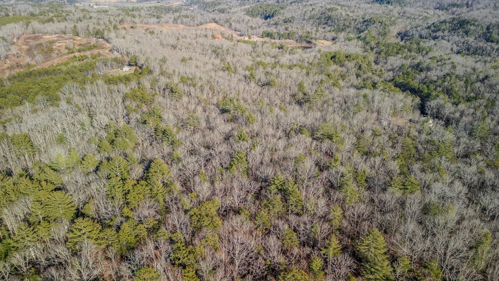 5.96-ac 5.96-ac Old Ridge Road Blue Ridge, GA 30513 - Photo 11 of 26